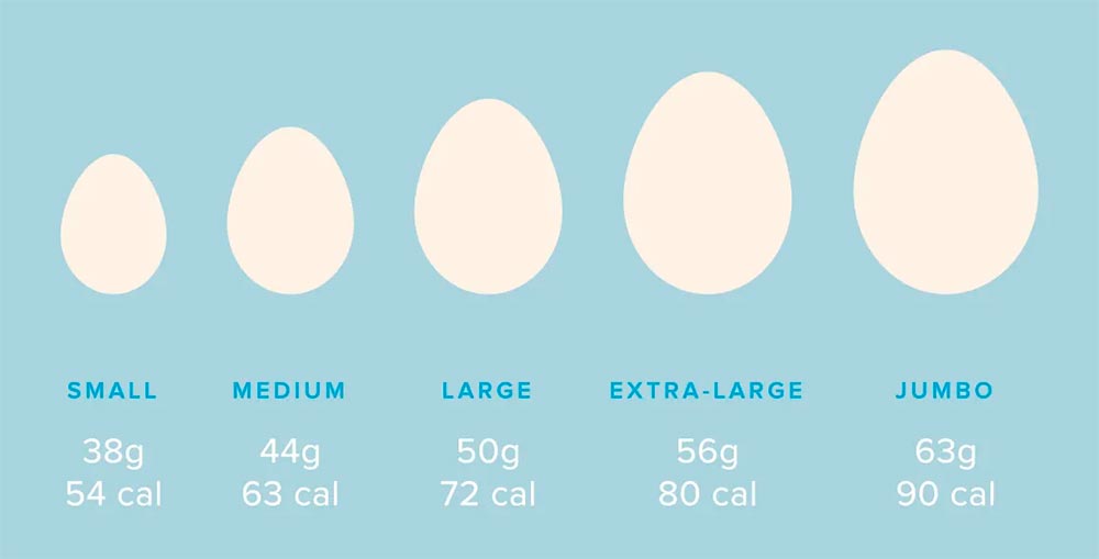 Size Eggs Calories