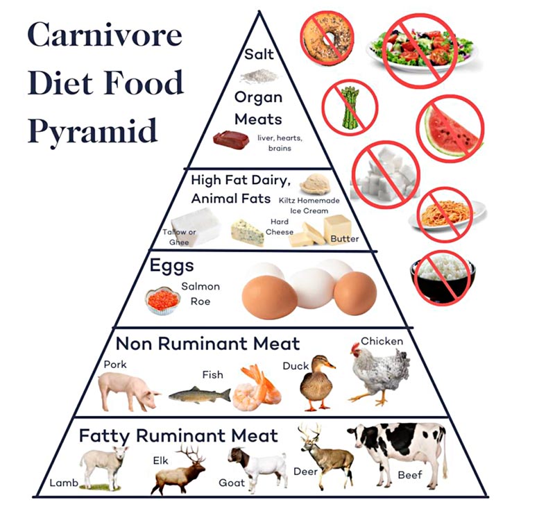 Carnivore Diet Food List