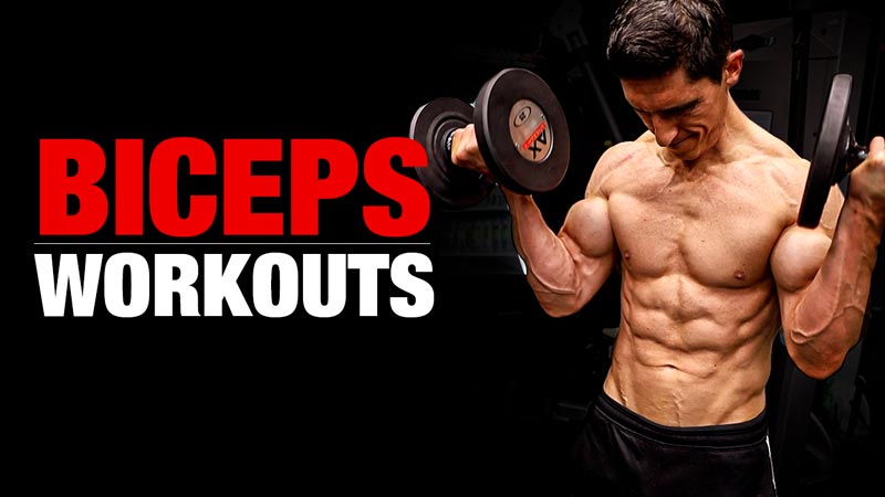 Bicep Workouts