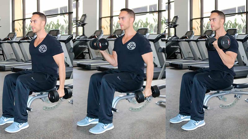Seated Alternating Dumbbell Curl