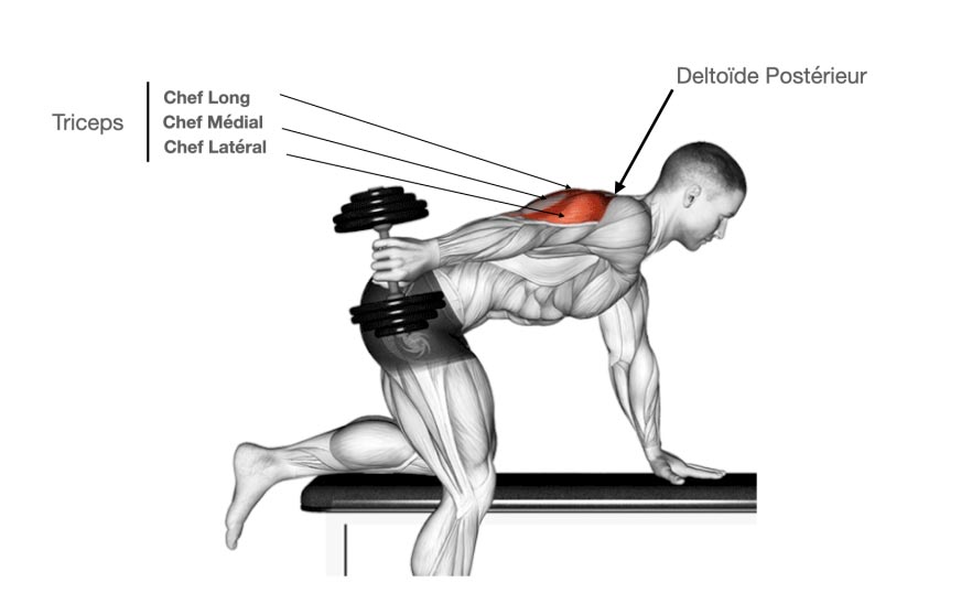 Dumbbell Kickback