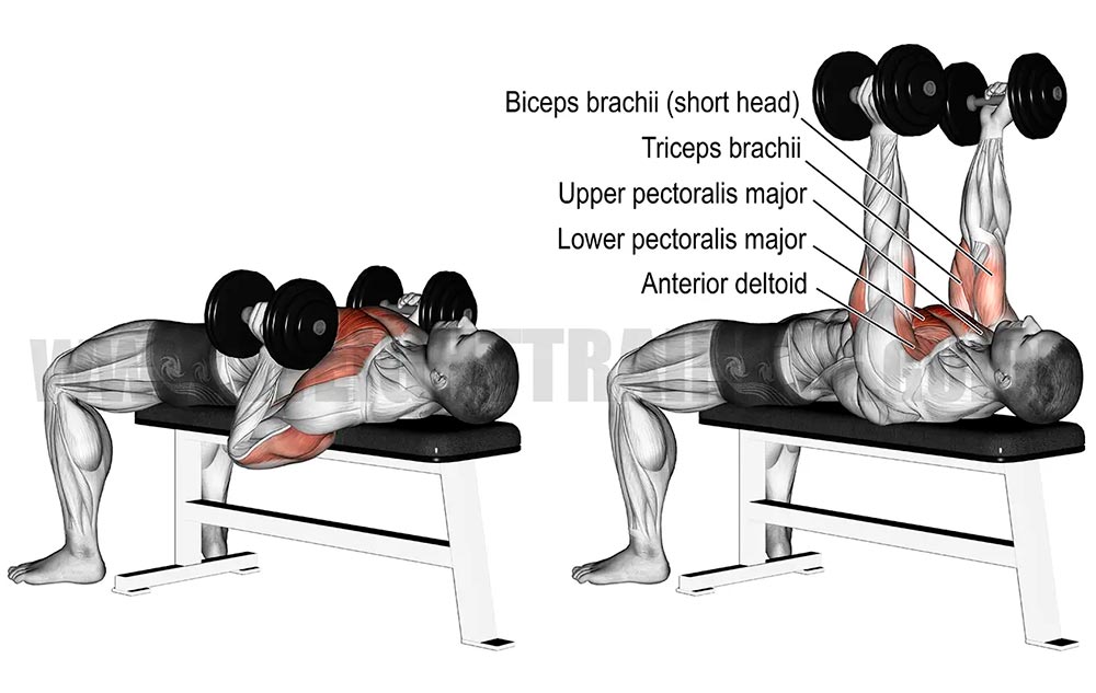 Dumbbell Tricep Press