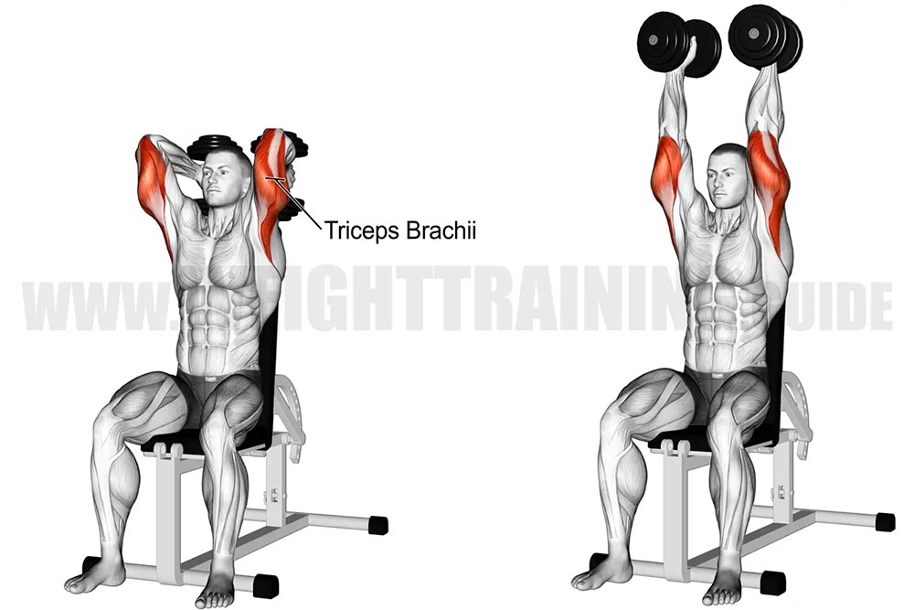 Seated Dumbbell Tricep Extension