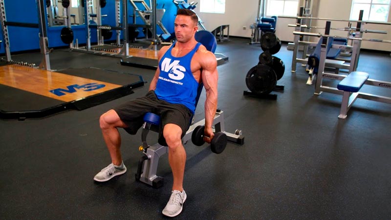 Incline Dumbbell Curl