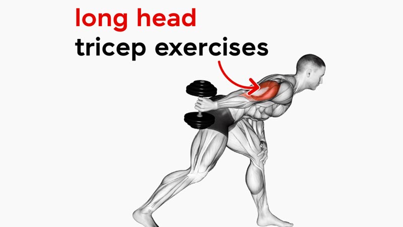 Long Head Tricep Exercises