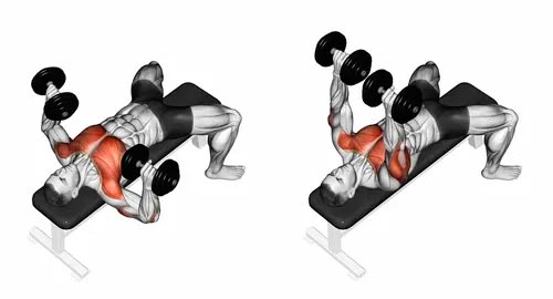 Chest Exercises