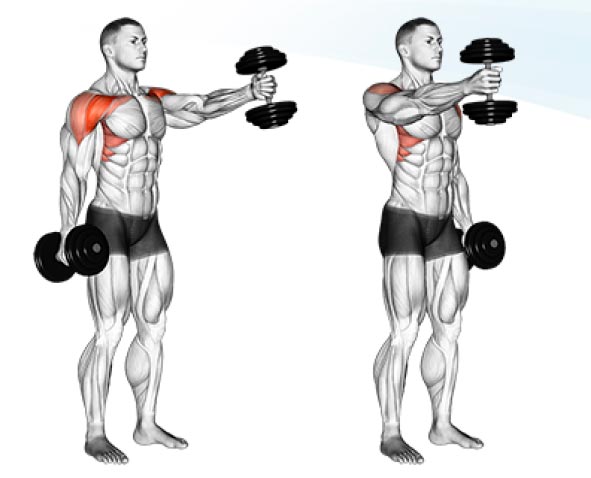 Shoulder Exercises