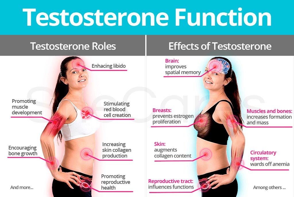 Foods That Lower Testosterone Levels