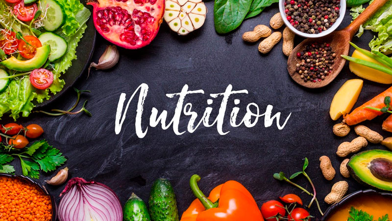 Importance of Nutrition for a Healthy Life