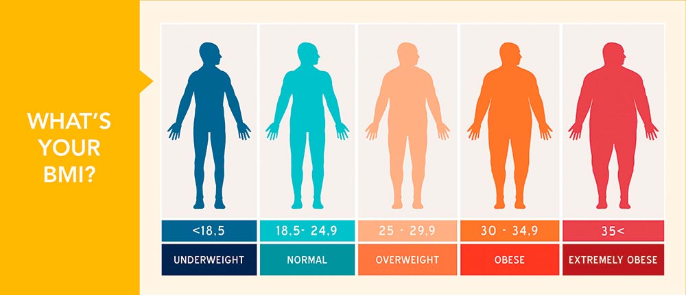 BMI Calculator - Your BMI